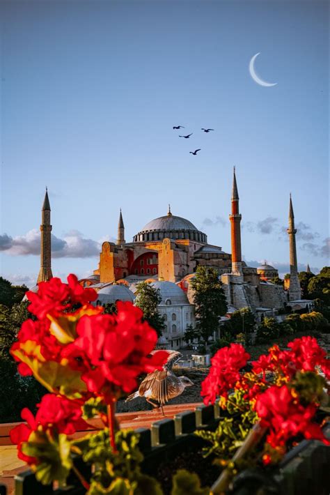 Ayasofya Wallpapers - Top Free Ayasofya Backgrounds - WallpaperAccess