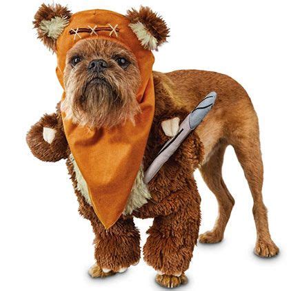 15 Dastardly Dog Costumes For a Spooktacular Halloween | Ewok dog ...