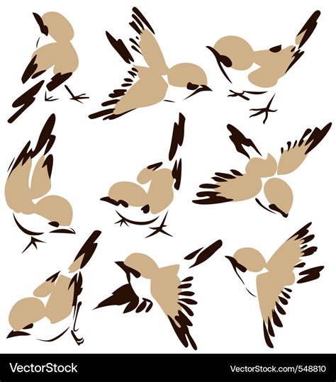 Bird drawing Royalty Free Vector Image - VectorStock