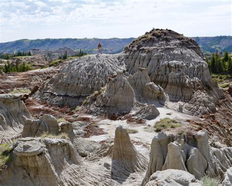 Dinosaurs and Badlands (2020 Adventure) - Adventures For Wilderness