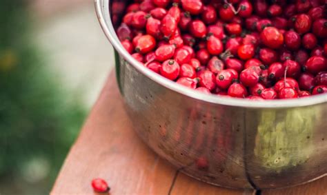 What to Do With Fresh Goji Berries - Foods Guy