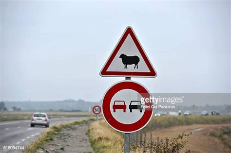 47 Avranches Cathedral Stock Photos, High-Res Pictures, and Images - Getty Images