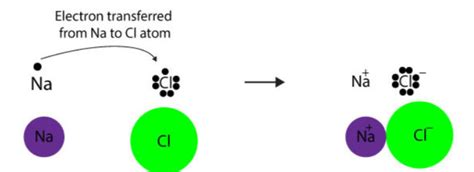 Ions and Ion Formation Study Guide - Inspirit Learning Inc