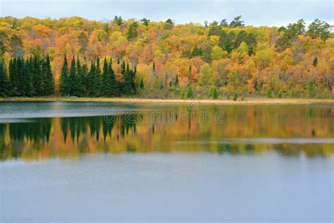 Fall Colors at Josephine Lake - Itasca State Park Stock Image - Image of water, minnesota: 137675589