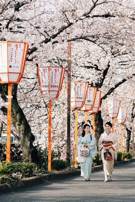 A Cherry Blossom Guide to Kyoto, Japan – Vogue Hong Kong