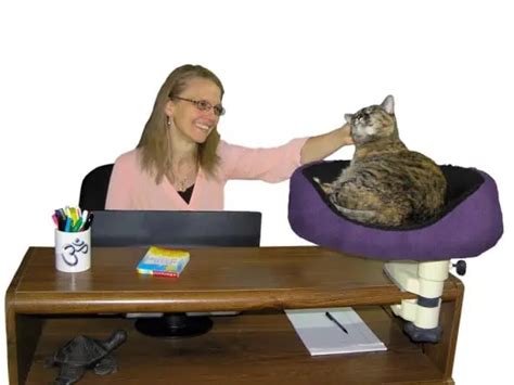 Desk Nest™ | Best Desktop Cat Bed | Desktop Cat Seat