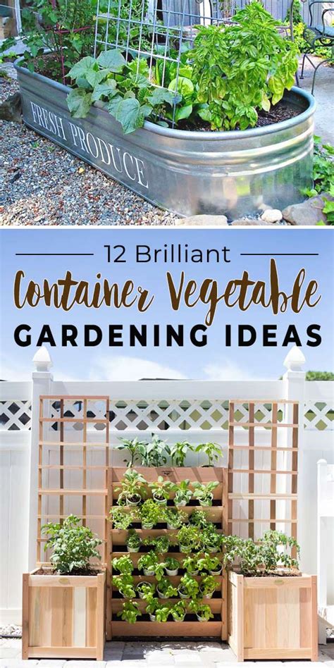 12 Brilliant Container Vegetable Gardening Ideas • The Garden Glove