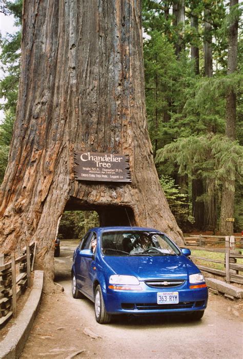 Redwood National Park in Crescent City: 3 reviews and 3 photos