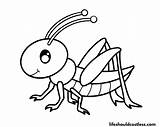 Grasshopper Coloring Page sketch template