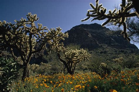 Dry Climate Zone Description