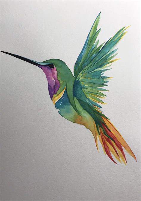 Beginner hummingbird : r/Watercolor