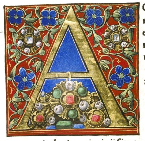 Douce Pliny - Florentine Venice 1476-6 | Illuminated letters, Medieval art, Illuminated manuscript