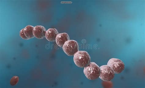 Spirillum is a Bacterium from the Proteobacteria Phylum with a Spiral ...