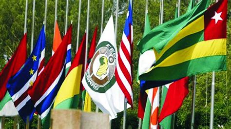 Regional crisis looms as ECOWAS nations take sides on Niger coup - Daily Post Nigeria