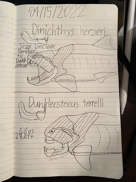 Dinichthys vs Dunkleosteus by Pr0teusUnbound on DeviantArt