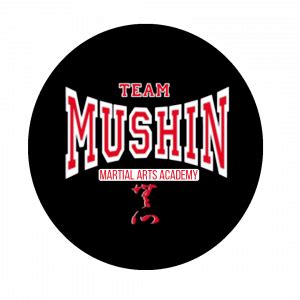 Team Mushin – Martial Arts