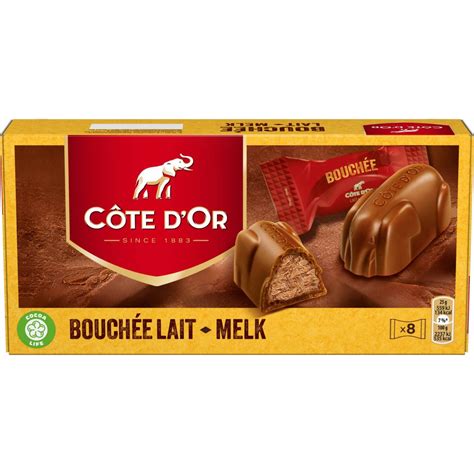 Côte d'Or Bouchée Milk Chocolate with Praline Filling | World Wide Chocolate