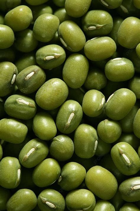 Kacang Kedelai Hijau Tekstur Kacang Kehidupan Alam Foto Latar belakang Dan Gambar Untuk Download ...