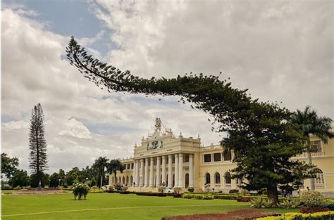 University of Mysore Mysuru Karnataka