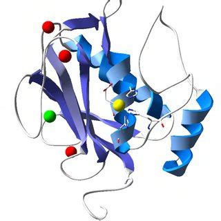 1. The catalytic mechanism of the serine proteases. (1) The serine is... | Download Scientific ...