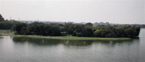 Hebbal Lake | Lakes in Bangalore | Bangalore