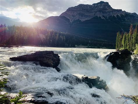 Sunwapta Falls just after sunrise. Alberta, Canada. (4032 x 3024) [OC] : r/EarthPorn