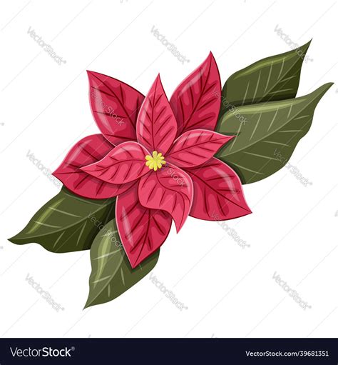 Poinsettia flower isolated on a white background Vector Image