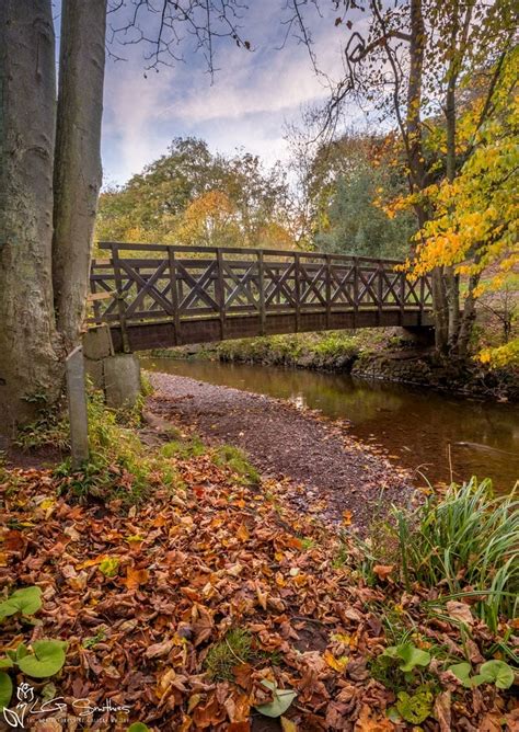 Saltburn Valley Gardens - The North Yorkshire Gallery