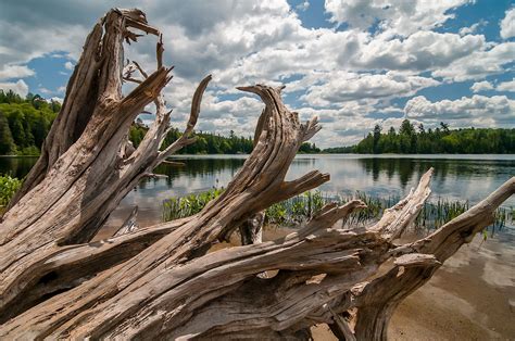 Perfect Summer in Algonquin Park | Algonquin park, Perfect summer, Park