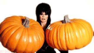 Elvira 2 big pumpkins | Horror Amino