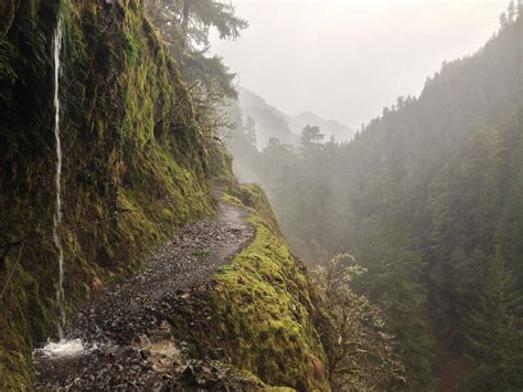 Eagle creek trail in the rain, Columbia Gorge area, Oregon, USA [3200x2400][OC] : EarthPorn