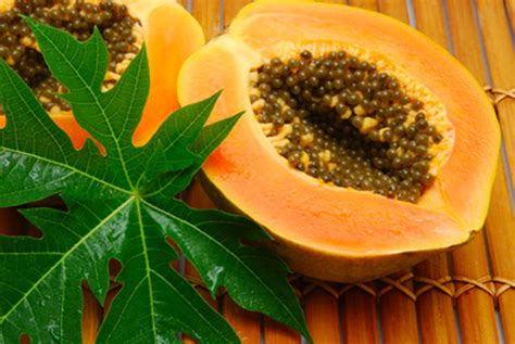 Papaya Leaf Benefits, Uses and Medicinal Properties | Best Herbal Health