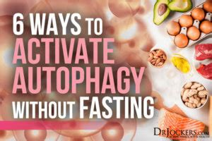 6 Ways To Activate Autophagy Without Fasting - DrJockers.com