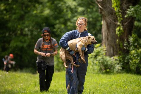 An Inside Look at Recent ASPCA Rescue of Nearly 600 Animals | ASPCA