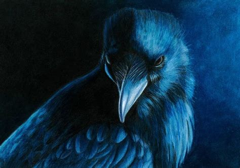 Raven Colour Pencil A4 Print | Etsy | Raven color, Color pencil art, Bird drawings