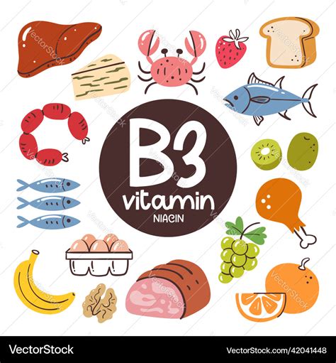 Vitamin b3 food ingredients niacin Royalty Free Vector Image