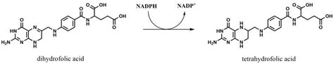 Reduction reaction of dihydrofolate to tetrahydrofolate catalyzed by ...