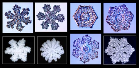 Guide to Snowflakes - SnowCrystals.com