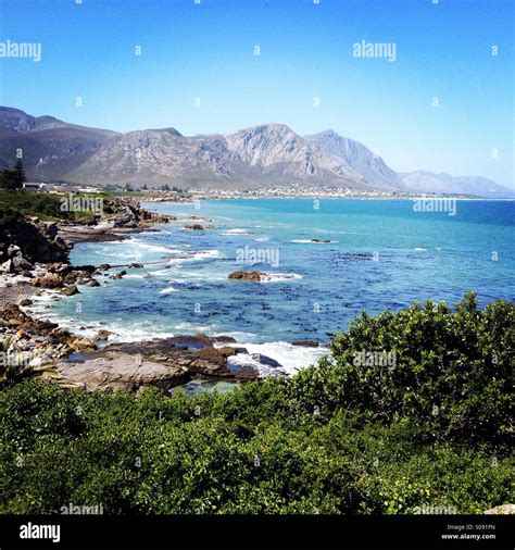 Walker Bay, Hermanus, South Africa Stock Photo - Alamy