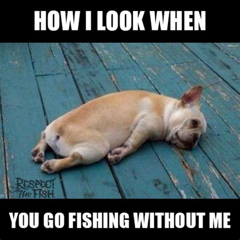 10 Best Fishing Memes of All Time | Tackle Crafters