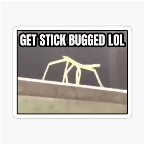 Stick Bug Meme Gifts & Merchandise | Redbubble