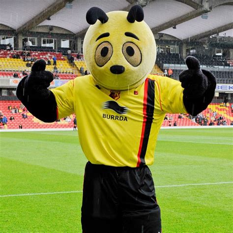 Watford - Harry the Hornet. Sports Advertising, Watford Fc, British Football, Football Club ...