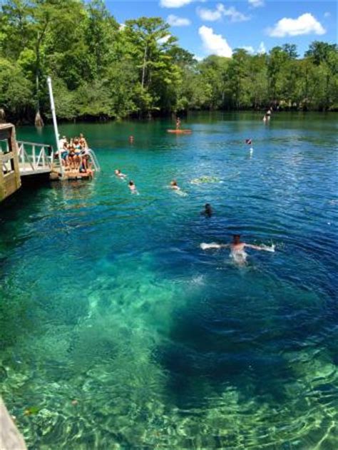 Morrison Springs (Florida) - 2019 All You Need to Know BEFORE You Go (with Photos) - TripAdvisor