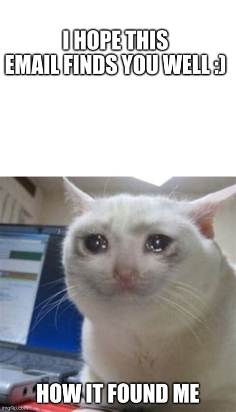 Image tagged in blank white template,crying cat - Imgflip