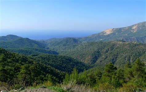 Mediterranean. Syria. Mountains, Landscape Stock Photo - Image of trees, mountains: 32815960