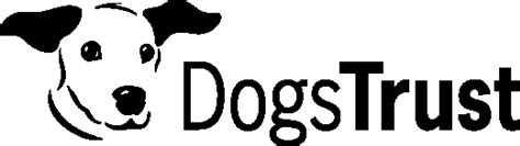 National Dog Survey 2023: Help dogs by talking about yours - Mirror Online