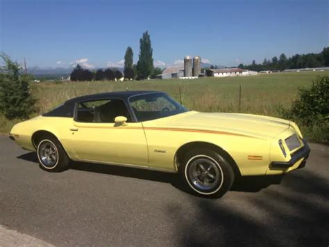 1974 Pontiac Firebird esprit - Classic Pontiac Firebird 1974 for sale