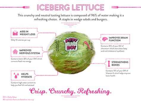 Iceberg Lettuce - Andy Boy