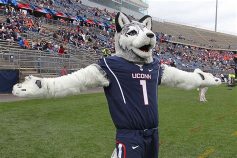 UConn Huskies' new stadium name shortens to 'PAWS ARF' - SBNation.com