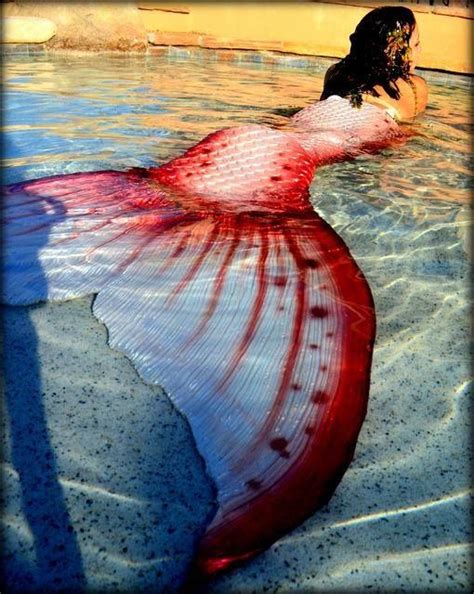 (12) Merbella Studios Inc. … | Mermaid art, Mermaids and mermen ...